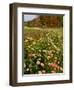 Moulton Farm in Meredith, New Hampshire, USA-Jerry & Marcy Monkman-Framed Photographic Print