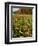 Moulton Farm in Meredith, New Hampshire, USA-Jerry & Marcy Monkman-Framed Photographic Print