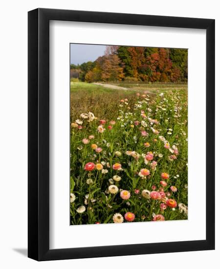 Moulton Farm in Meredith, New Hampshire, USA-Jerry & Marcy Monkman-Framed Photographic Print