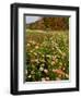 Moulton Farm in Meredith, New Hampshire, USA-Jerry & Marcy Monkman-Framed Photographic Print