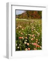 Moulton Farm in Meredith, New Hampshire, USA-Jerry & Marcy Monkman-Framed Photographic Print