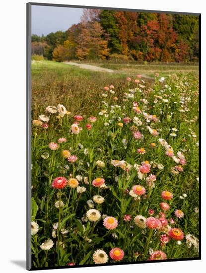 Moulton Farm in Meredith, New Hampshire, USA-Jerry & Marcy Monkman-Mounted Photographic Print