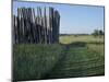 Mound and Part of Village Stockade at Aztalan, Middle Mississippian Moundbuilders Site in Wisconsin-null-Mounted Photographic Print