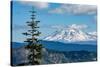 Mount Adams seen from Mount St. Helens, part of the Cascade Range, Pacific Northwest region, Washin-Martin Child-Stretched Canvas