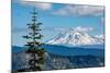 Mount Adams seen from Mount St. Helens, part of the Cascade Range, Pacific Northwest region, Washin-Martin Child-Mounted Photographic Print