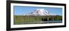 Mount Adams-Douglas Taylor-Framed Art Print