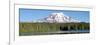 Mount Adams-Douglas Taylor-Framed Premium Giclee Print