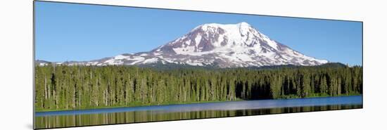 Mount Adams-Douglas Taylor-Mounted Premium Giclee Print