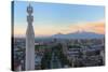 Mount Ararat and Yerevan viewed from Cascade at sunrise, Yerevan, Armenia, Central Asia, Asia-G&M Therin-Weise-Stretched Canvas