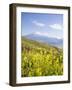 Mount Ararat, Dogubayazit, Eastern Turkey, Turkey-Jane Sweeney-Framed Photographic Print