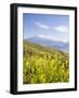 Mount Ararat, Dogubayazit, Eastern Turkey, Turkey-Jane Sweeney-Framed Photographic Print