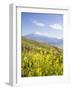 Mount Ararat, Dogubayazit, Eastern Turkey, Turkey-Jane Sweeney-Framed Photographic Print