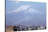 Mount Ararat, Erevan, Armenia, Caucasus, Central Asia-Sybil Sassoon-Stretched Canvas