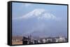 Mount Ararat, Erevan, Armenia, Caucasus, Central Asia-Sybil Sassoon-Framed Stretched Canvas
