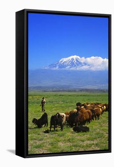 Mount Ararat-Charles Bowman-Framed Stretched Canvas