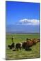 Mount Ararat-Charles Bowman-Mounted Photographic Print