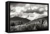 Mount Baker Exposed-Dana Styber-Framed Stretched Canvas