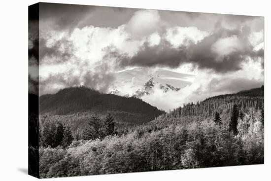 Mount Baker Exposed-Dana Styber-Stretched Canvas