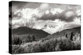 Mount Baker Exposed-Dana Styber-Stretched Canvas