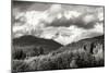 Mount Baker Exposed-Dana Styber-Mounted Photographic Print