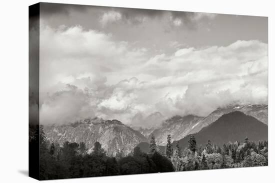 Mount Baker Shrouded-Dana Styber-Stretched Canvas