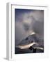 Mount Blanc, French Alps-Philippe Manguin-Framed Photographic Print