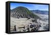 Mount Bromo Crater, Bromo Tengger Semeru National Park, Java, Indonesia, Southeast Asia, Asia-Michael Runkel-Framed Stretched Canvas