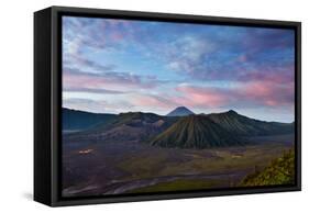 Mount Bromo Volcano and Bromo Tengger Semeru National Park-Alex Saberi-Framed Stretched Canvas