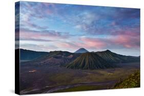 Mount Bromo Volcano and Bromo Tengger Semeru National Park-Alex Saberi-Stretched Canvas