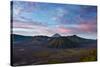 Mount Bromo Volcano and Bromo Tengger Semeru National Park-Alex Saberi-Stretched Canvas