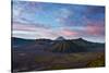 Mount Bromo Volcano and Bromo Tengger Semeru National Park-Alex Saberi-Stretched Canvas