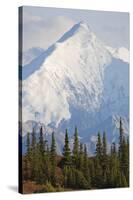 Mount Brooks in Denali National Park-Paul Souders-Stretched Canvas