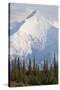 Mount Brooks in Denali National Park-Paul Souders-Stretched Canvas