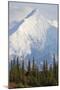 Mount Brooks in Denali National Park-Paul Souders-Mounted Photographic Print