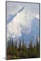 Mount Brooks in Denali National Park-Paul Souders-Mounted Photographic Print