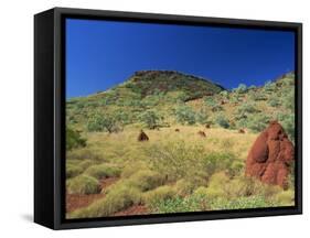 Mount Bruce and Termite Mounds, Karijini National Park, Pilbara, Western Australia, Australia-Pitamitz Sergio-Framed Stretched Canvas