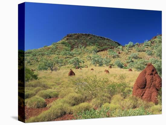 Mount Bruce and Termite Mounds, Karijini National Park, Pilbara, Western Australia, Australia-Pitamitz Sergio-Stretched Canvas