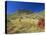 Mount Bruce and Termite Mounds, Karijini National Park, Pilbara, Western Australia, Australia-Pitamitz Sergio-Stretched Canvas