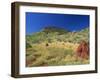 Mount Bruce and Termite Mounds, Karijini National Park, Pilbara, Western Australia, Australia-Pitamitz Sergio-Framed Photographic Print