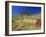 Mount Bruce and Termite Mounds, Karijini National Park, Pilbara, Western Australia, Australia-Pitamitz Sergio-Framed Photographic Print