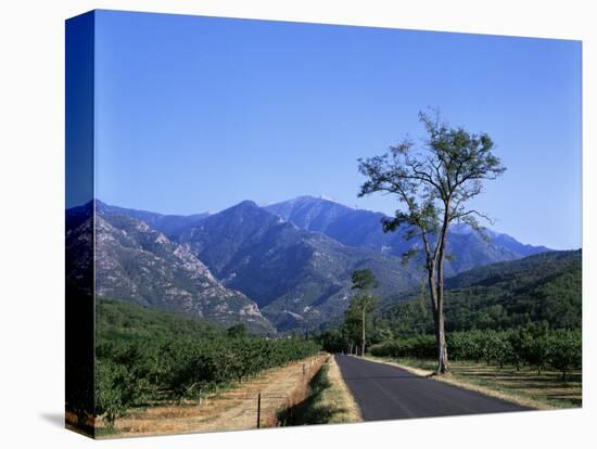 Mount Canigou, Pyrenees-Orientale, Languedoc Roussillon, France-David Hughes-Stretched Canvas