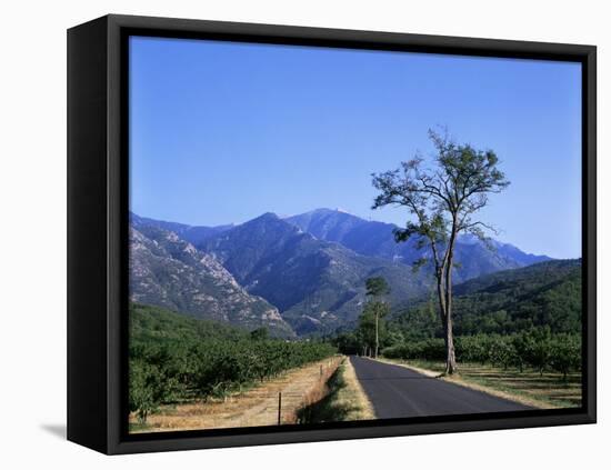 Mount Canigou, Pyrenees-Orientale, Languedoc Roussillon, France-David Hughes-Framed Stretched Canvas