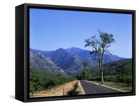 Mount Canigou, Pyrenees-Orientale, Languedoc Roussillon, France-David Hughes-Framed Stretched Canvas