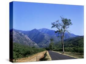 Mount Canigou, Pyrenees-Orientale, Languedoc Roussillon, France-David Hughes-Stretched Canvas