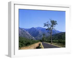 Mount Canigou, Pyrenees-Orientale, Languedoc Roussillon, France-David Hughes-Framed Photographic Print