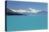 Mount Cook and Lake Pukaki, Mount Cook National Park, Canterbury Region-Stuart Black-Stretched Canvas