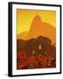 Mount Corcovado, Rio de Janeiro, Brazil-null-Framed Photographic Print