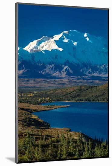 Mount Denali, previously known as McKinley from Wonder Lake, Denali National Park, Alaska-null-Mounted Photographic Print