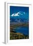 Mount Denali, previously known as McKinley from Wonder Lake, Denali National Park, Alaska-null-Framed Photographic Print