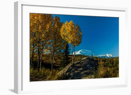 Mount Denali, previously known as McKinley from Wonder Lake, Denali National Park, Alaska-null-Framed Photographic Print